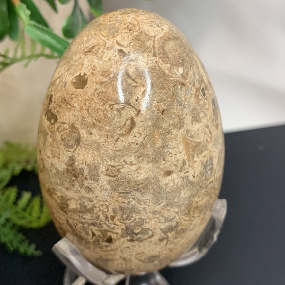 Beautiful brown, tan and cream colored MARBLE egg - Picture 3 of 10